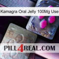 Kamagra Oral Jelly 100Mg Use 38